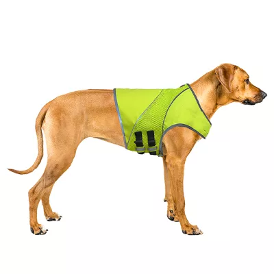 Product KONG® Mountain Dog Safety Hunting Vest