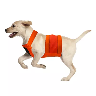Product KONG® Trigger Dog Safety Hunting Vest