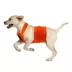 KONG® Trigger Dog Safety Hunting Vest image thumbnail 6