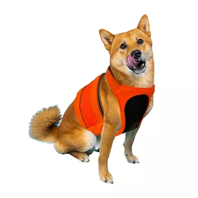 Product KONG® Trigger Dog Safety Hunting Vest