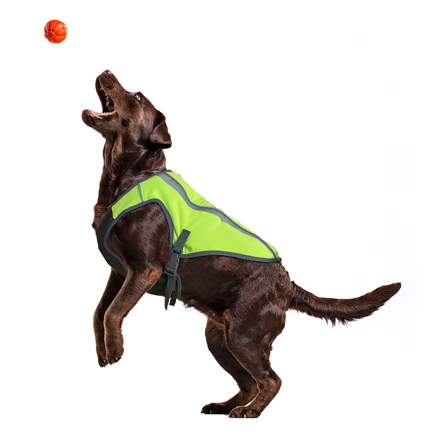 KONG Kool Dog Safety Hunting Cooling Vest