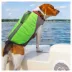 KONG® AquaPro Pet Flotation image thumbnail 7