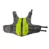 KONG® AquaPro Pet Flotation image thumbnail 4