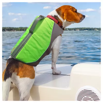 Product KONG® AquaPro Pet Flotation