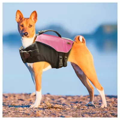 Product KONG® AquaPro Pet Flotation