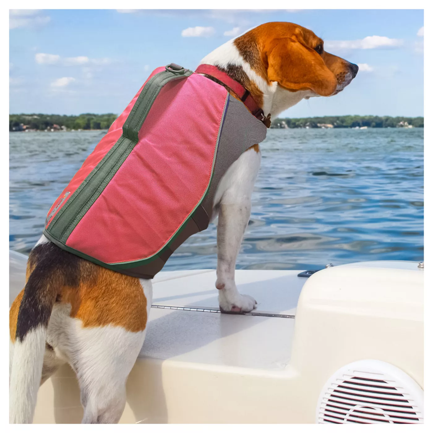 KONG AquaPro Pet Flotation