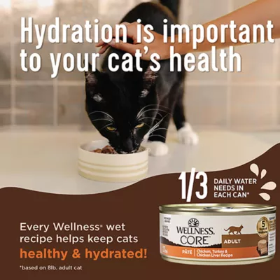Product Wellness Core+ Adult Wet Cat Food - Grain Free, Skin & Coat Health, 2.8 Oz