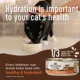 Product Wellness Core+ Adult Wet Cat Food - Grain Free, Skin & Coat Health, 2.8 Oz