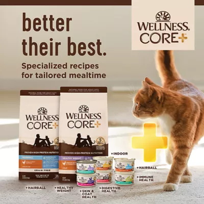 Product Wellness Core+ Adult Wet Cat Food - Grain Free, Skin & Coat Health, 2.8 Oz