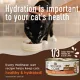 Product Wellness Core+ Adult Wet Cat Food - Grain Free, Skin & Coat Health, 2.8 Oz