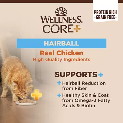Product Wellness Core+ Adult Wet Cat Food - Grain Free, Hairball, 2.8 Oz
