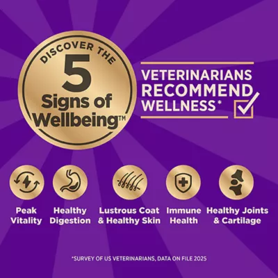 Wellness Core+ High Protein Kibble + Savory Freeze-Dried Pieces - Beef & Barley, Wholesome Grains - Image 5