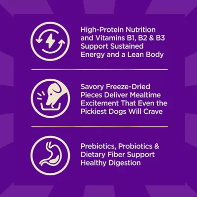 Product Wellness Core+ High Protein Kibble + Savory Freeze-Dried Pieces - Beef & Barley, Wholesome Grains