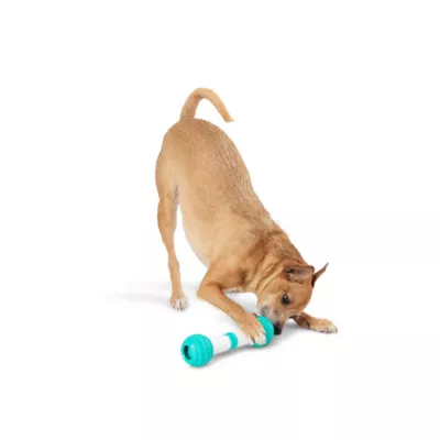 Product Joyhound Electronic Play Bone