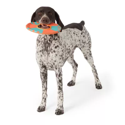 Product Joyhound® Flyer Dog Toy