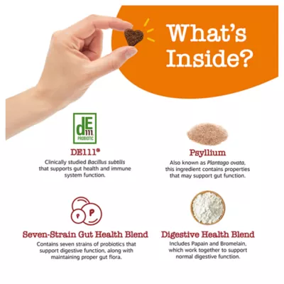 Zesty Paws Ancient Elements Probiotic Bites for Dogs, 90 Count - Image 5