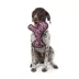Joyhound® Rip Roarin' Tough Zebra Dog Toy image thumbnail 3
