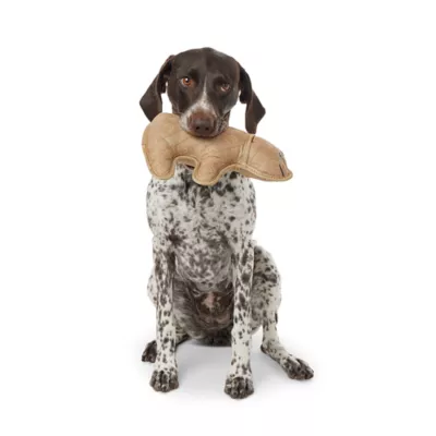 Product Joyhound® Rip Roarin' Tough Bear Dog Toy