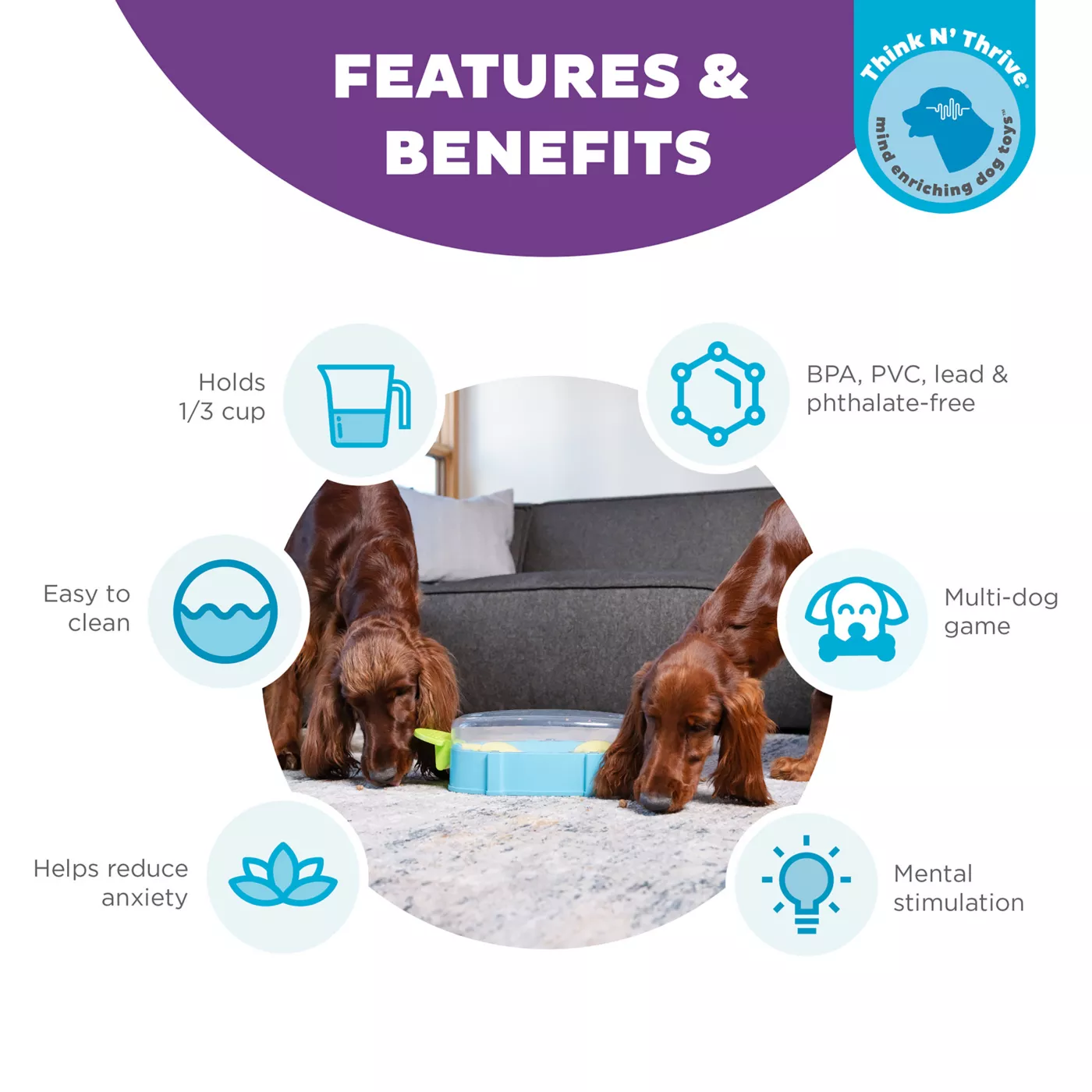 Dog puzzle feeder petsmart best sale