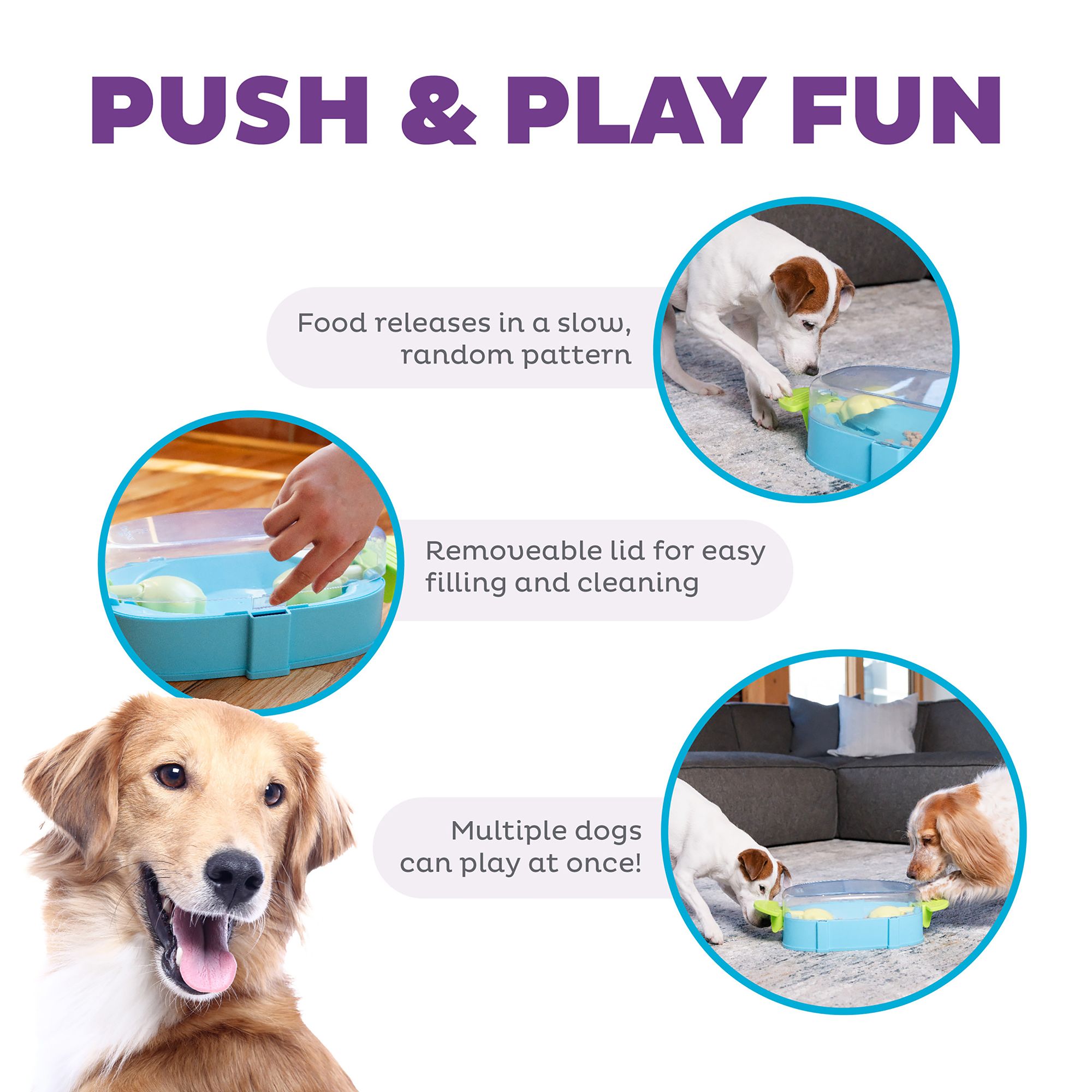 Outward Hound Outward Hound Paw N Play Interactive Dog Puzzle PetSmart in Tustin CA