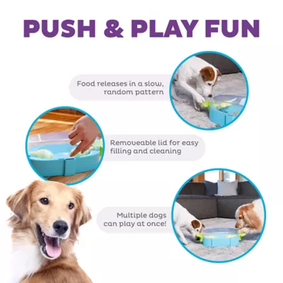 Outward Hound Paw N Play Interactive Dog Puzzle