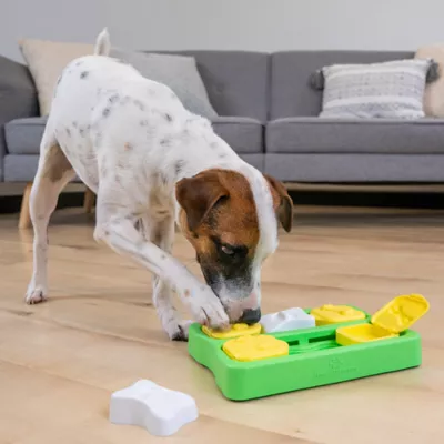 Outward Hound Dog Brick Interactive Dog Puzzle