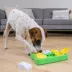 Outward Hound Dog Brick Interactive Dog Puzzle image thumbnail 5