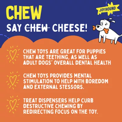 Product Joyhound® Boss Bones Nylon Fish Chew Toy