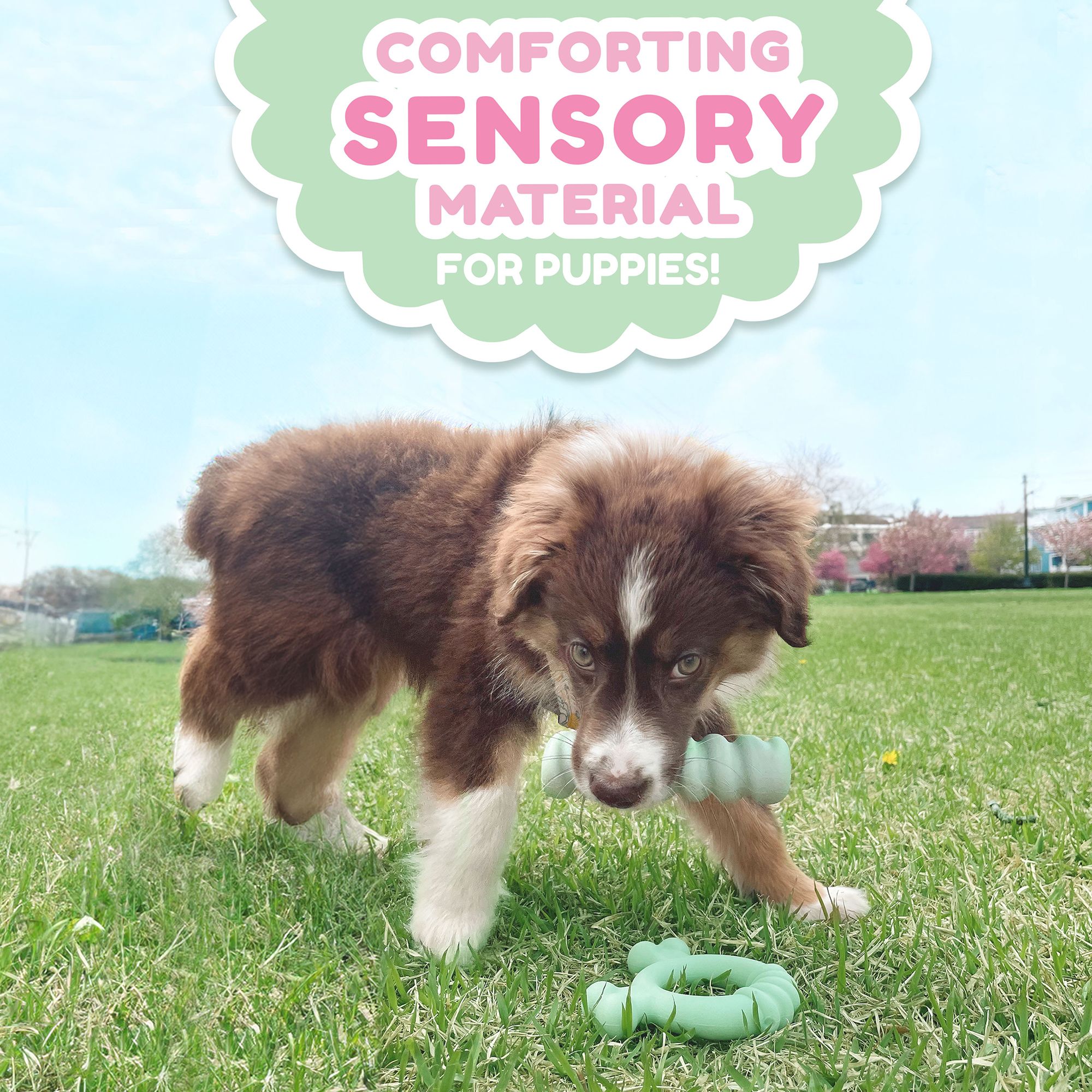 Nylabone Sensory Material Puppy Teething Ring