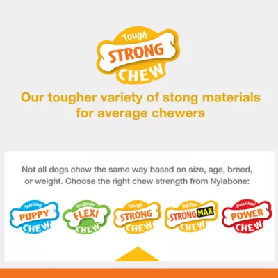 Product Nylabone® Strong Chew Peanut Butter Dog Toy