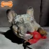 Nylabone® Power Chew Lobster Dog Toy image thumbnail 2
