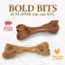 Nylabone® Gourmet Style Strong Chew Toy 2 Pack image thumbnail 4