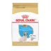 Royal Canin Breed Health Nutrition French Bulldog Puppy Dry Dog Food image thumbnail 1