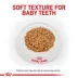Royal Canin Small Breed Thin Slices in Gravy Puppy Dog Wet Food - 5.1 oz image thumbnail 2
