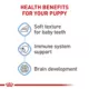 Product Royal Canin Small Breed Thin Slices in Gravy Puppy Dog Wet Food - 5.1 oz