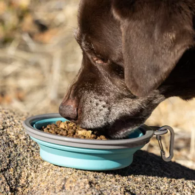 Product Nulo Raw Medley Small Breed Adult Dog Food - Kibble Plus Freeze Dried, Turkey, Sweet Potato & Duck