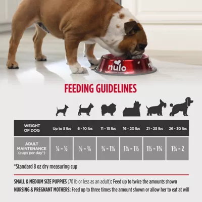 Product Nulo Raw Medley Small Breed Adult Dog Food - Kibble Plus Freeze Dried, Turkey, Sweet Potato & Duck