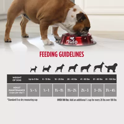 Product Nulo Raw Medley Adult Dog Food - Kibble Plus Freeze Dried Pieces, Salmon, Sweet Potato & Turkey