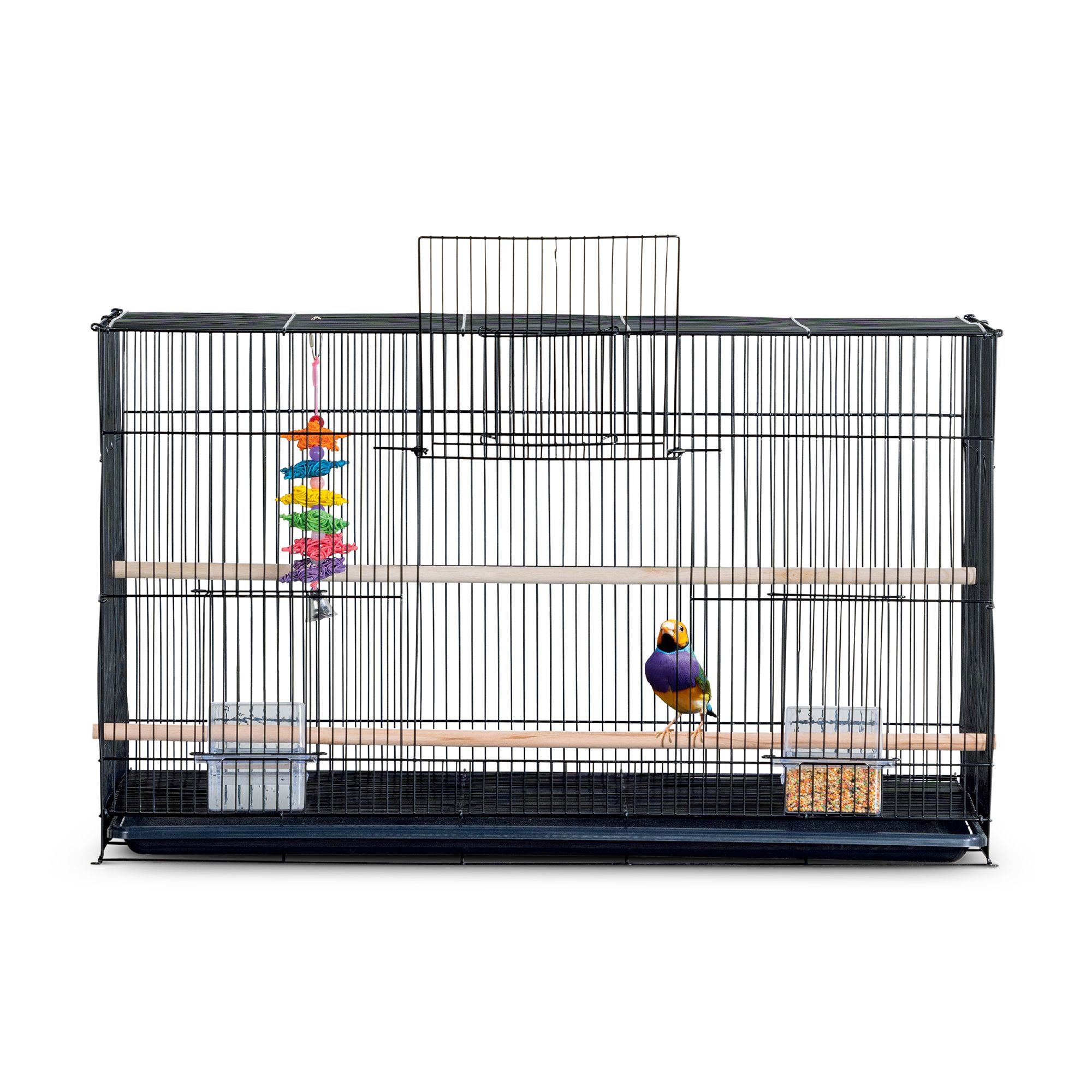 Petsmart bird supplies best sale