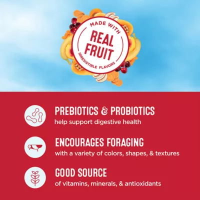 Product All Living Things® Canary and Finch Fruit Pellet Food