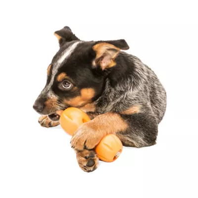 Product West Paw Zogoflex Qwizl Dog Toy