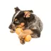 West Paw Zogoflex Qwizl Dog Toy image thumbnail 4
