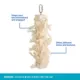 Product All Living Things® Natural Sisal Bird Toy