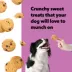 Wiggles & Wags Carob Chip Cookies Dog Treats 13 OZ image thumbnail 4