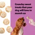Wiggles & Wags Iced Cookies Dog Treats 12 OZ image thumbnail 5