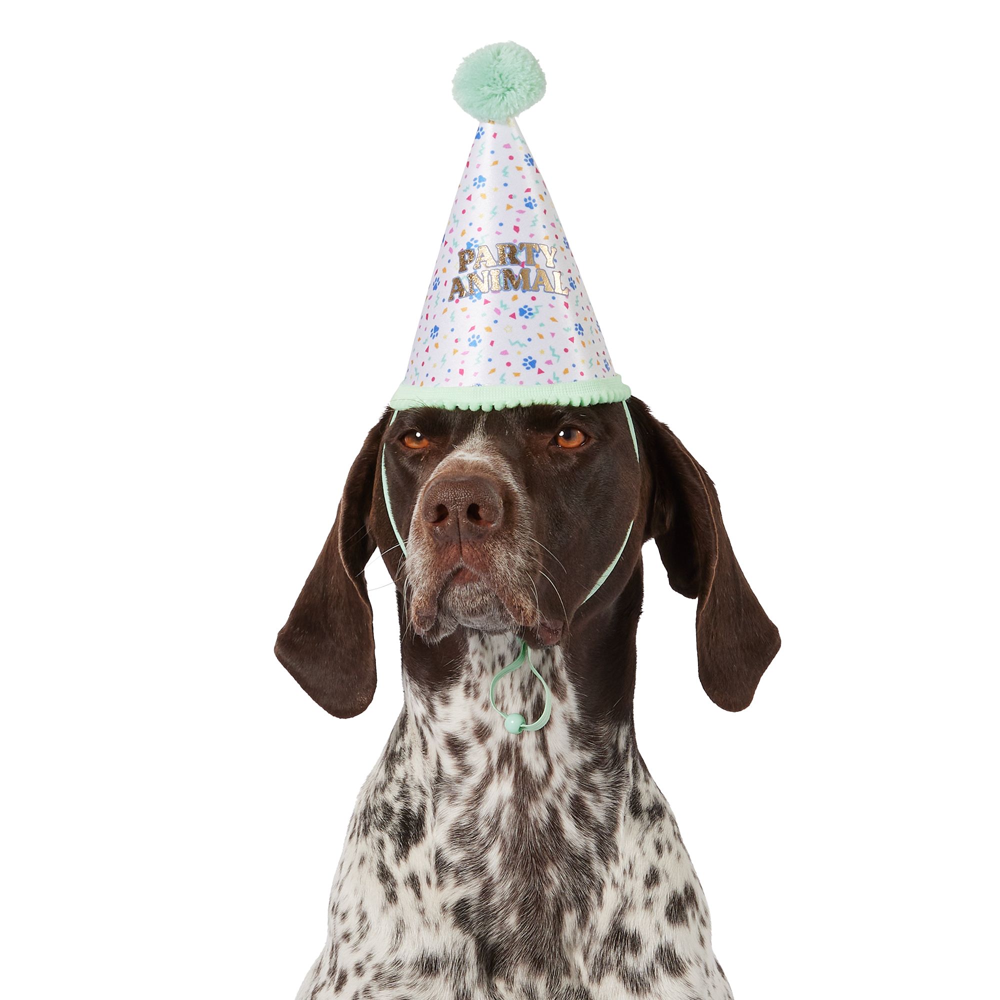 Dog birthday sales hats petsmart