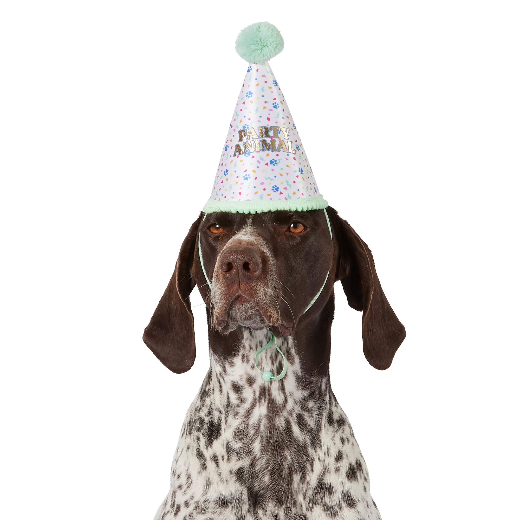 Blended Clothing Collection Party Dog Hat