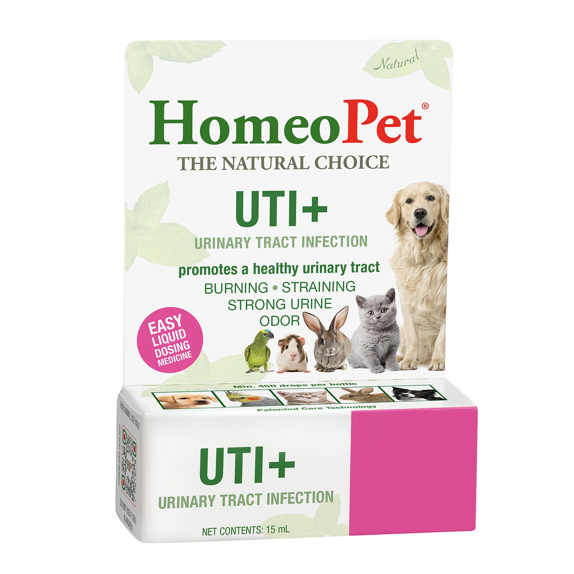 Cure dog urinary tract infection hotsell