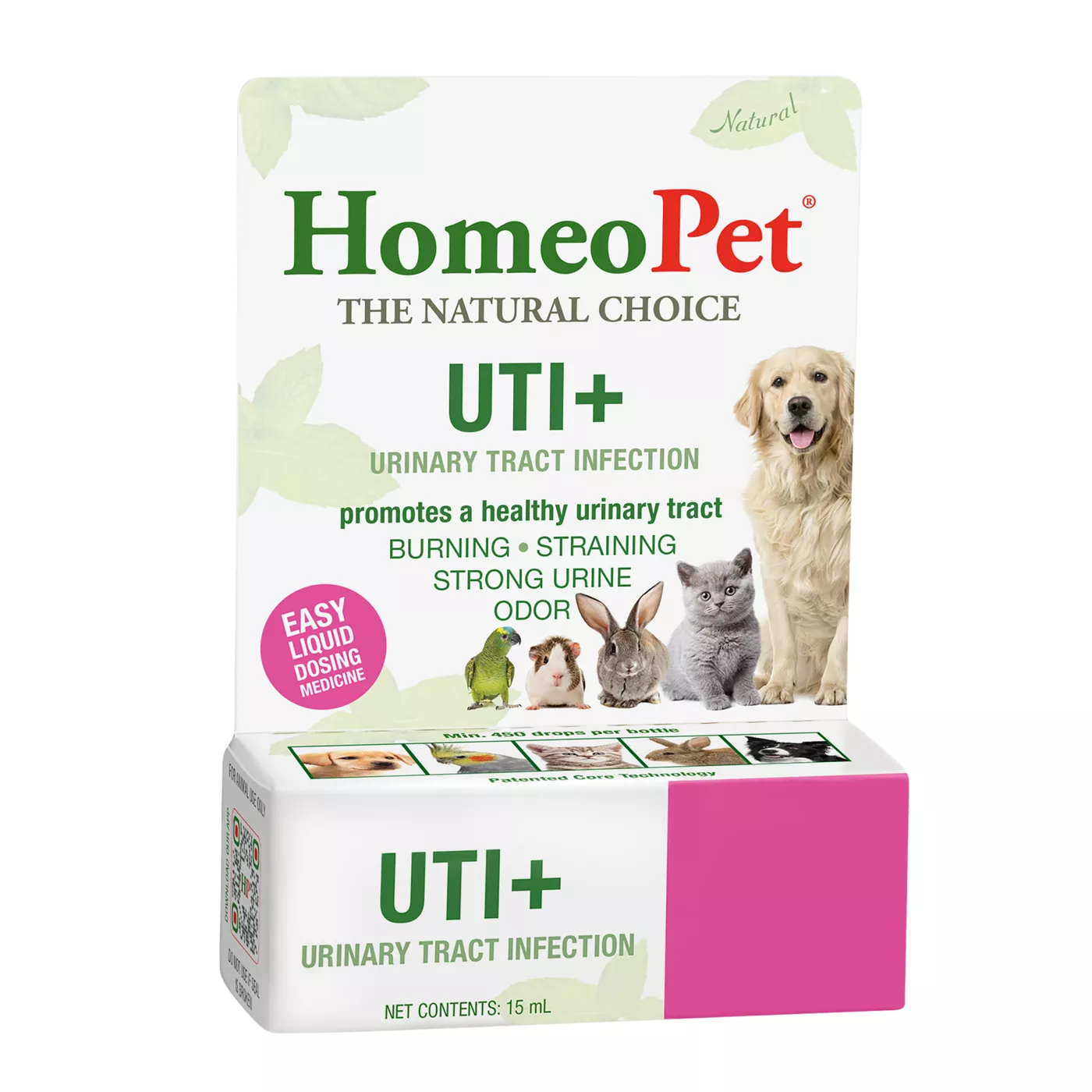 Curing uti in dogs best sale