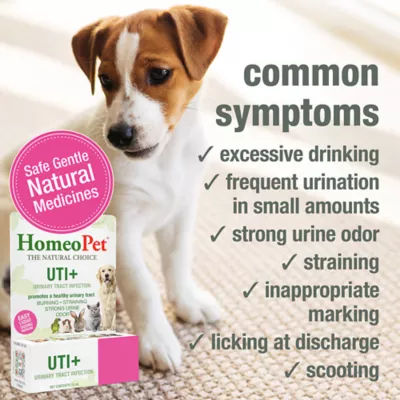 HomeoPet® Dog UTI+ Liquid Urinary Supplement, Support Upper & Lower Urinary Tract, 15-ml bottle - Image 3